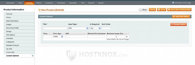 Custom Option Settings-File Input Type