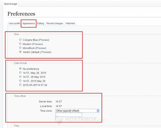 Appearance Tab-Skin, Date Format and Time Offset Options