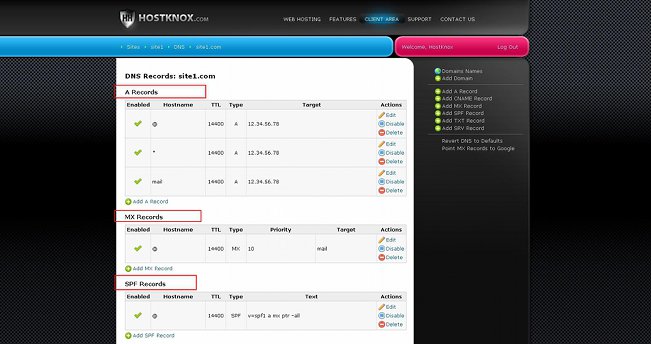 Tables Listing Existing DNS Records